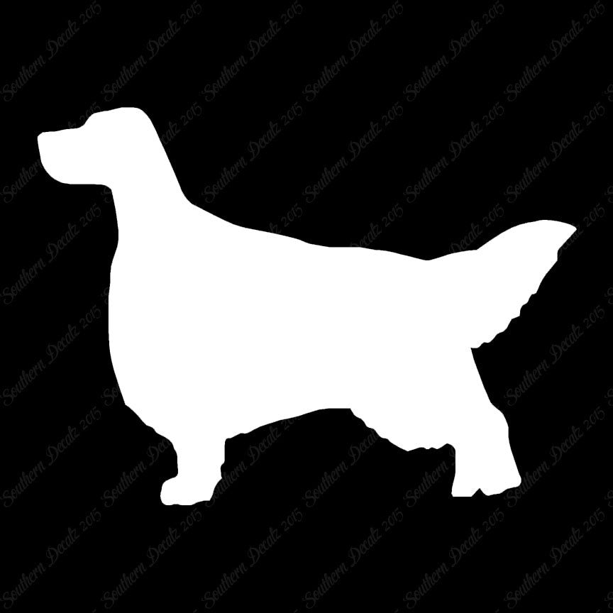 English Setter Dog Breed