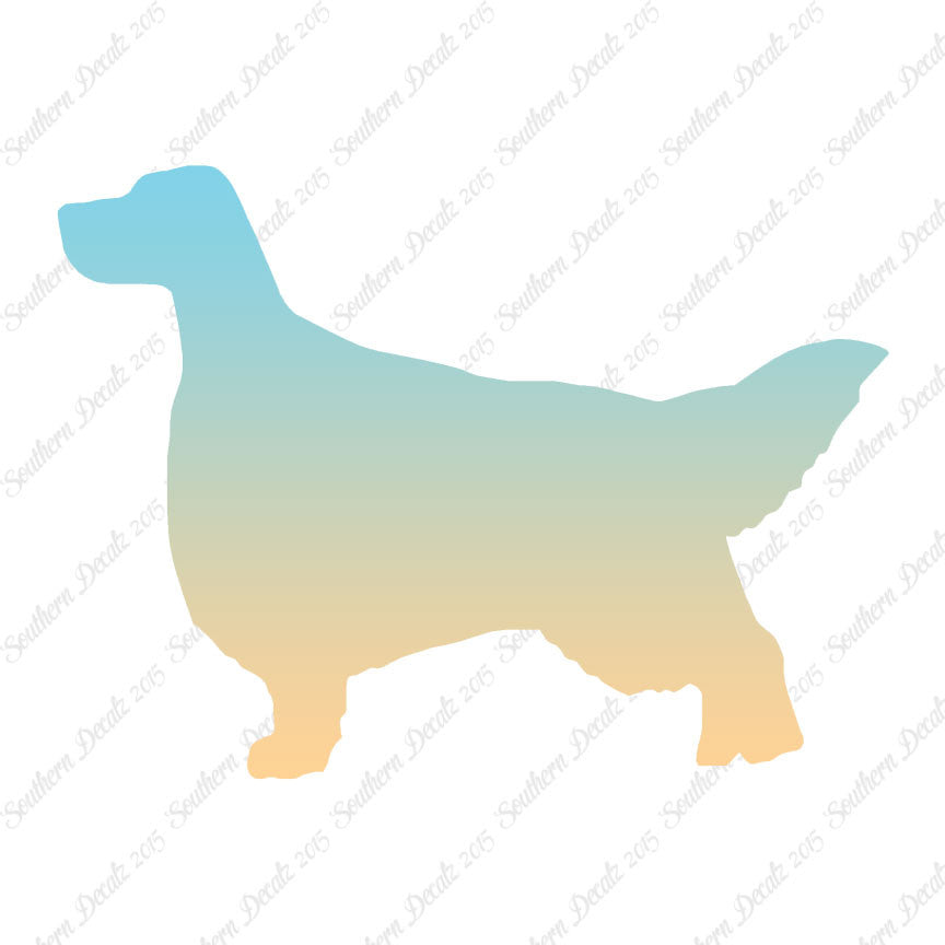 English Setter Dog Breed