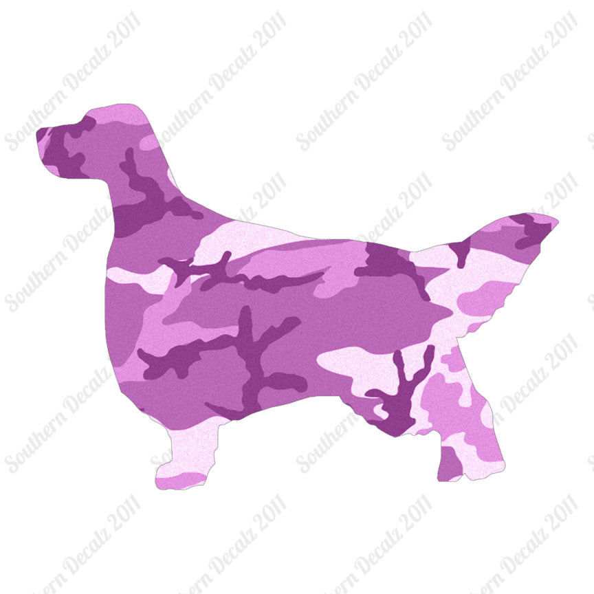 English Setter Dog Breed