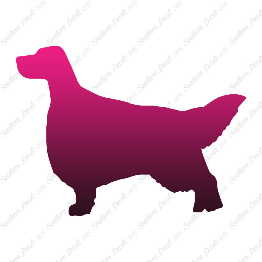 English Setter Dog Breed