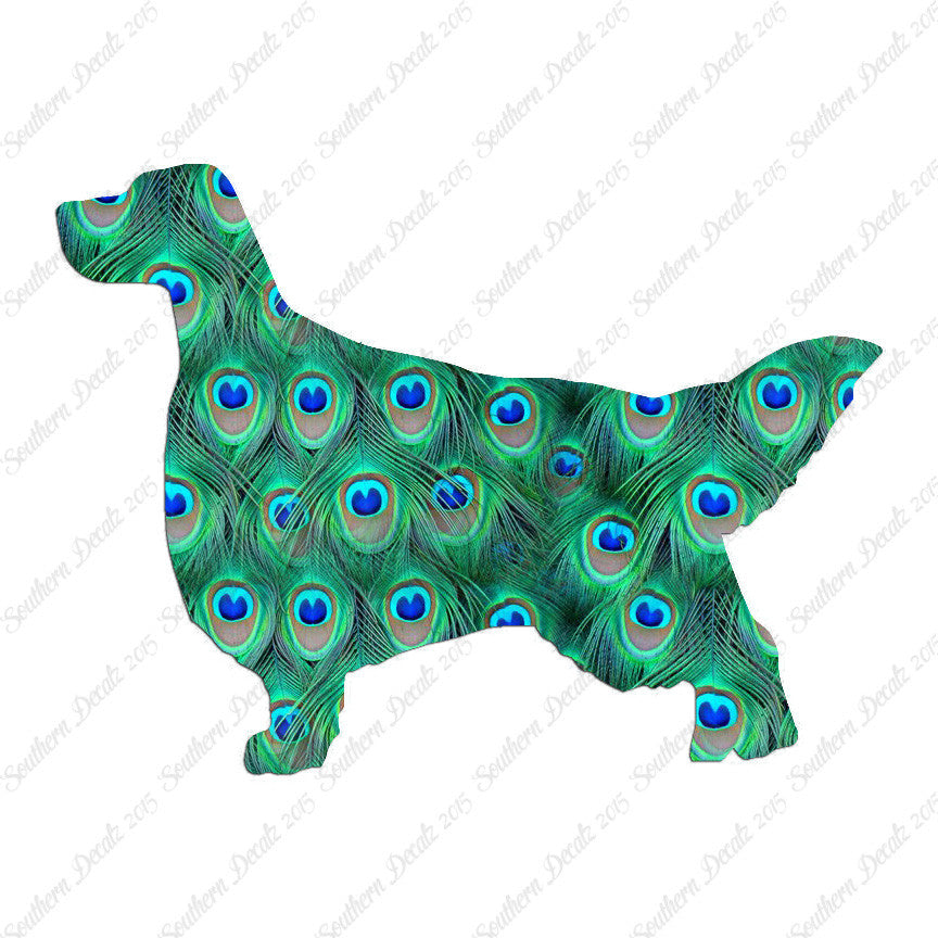 English Setter Dog Breed