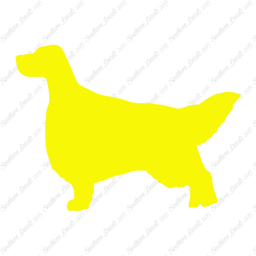 English Setter Dog Breed
