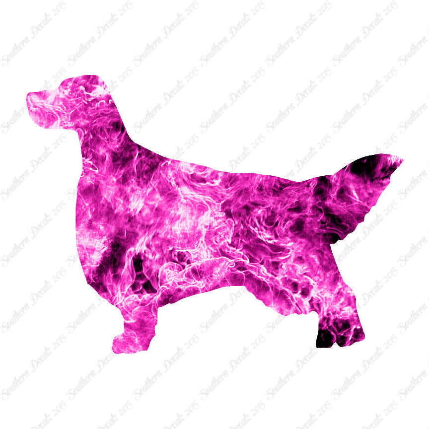 English Setter Dog Breed