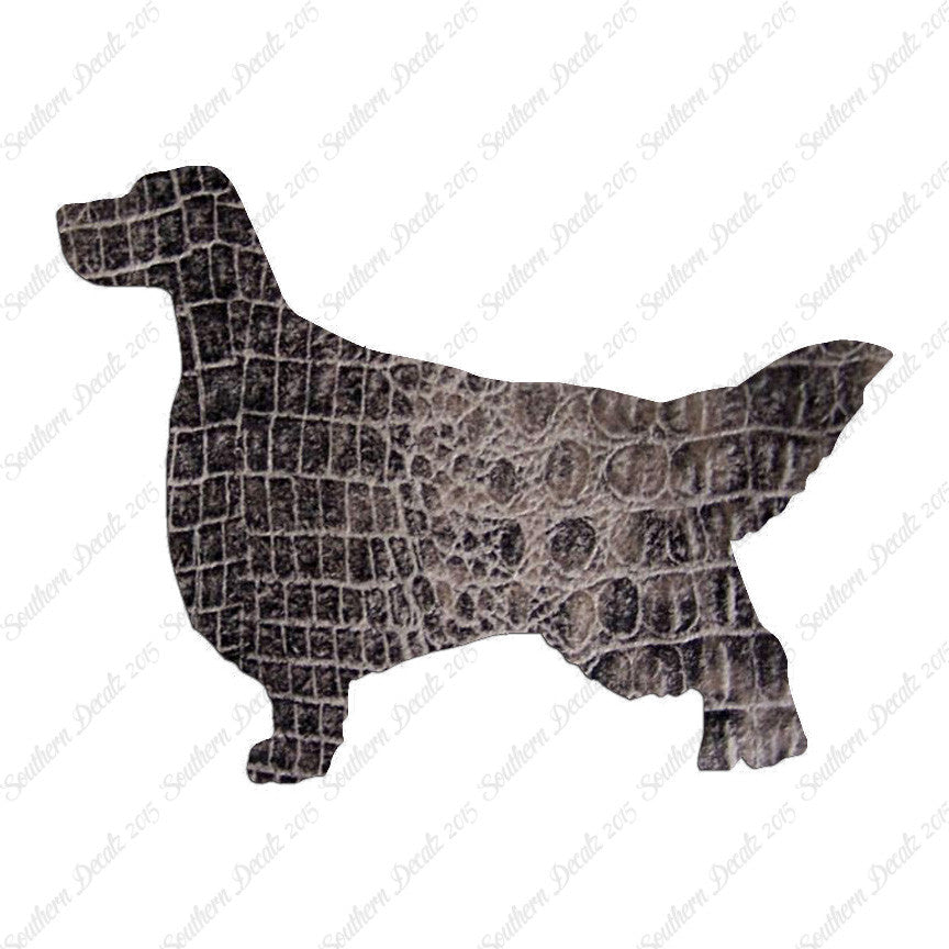 English Setter Dog Breed