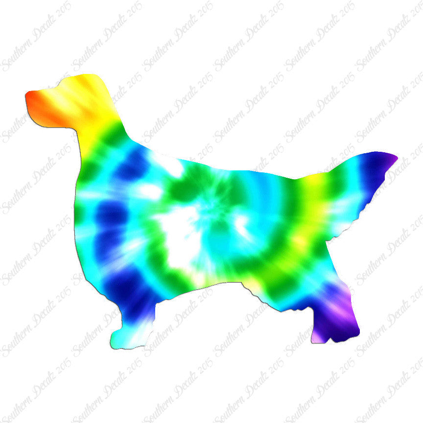 English Setter Dog Breed