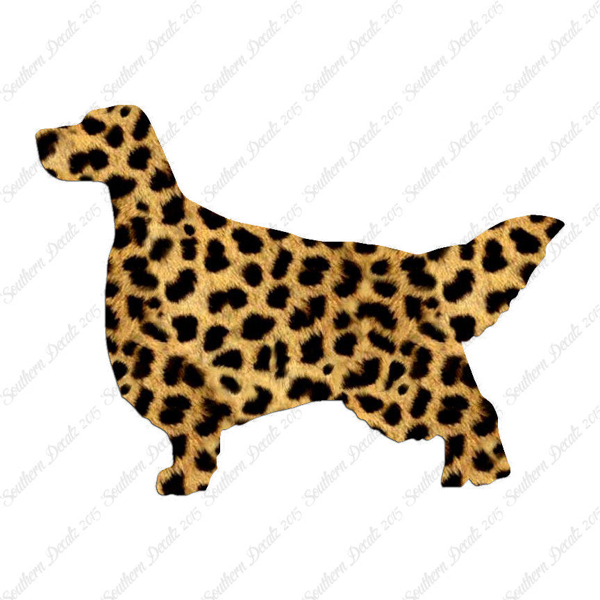English Setter Dog Breed