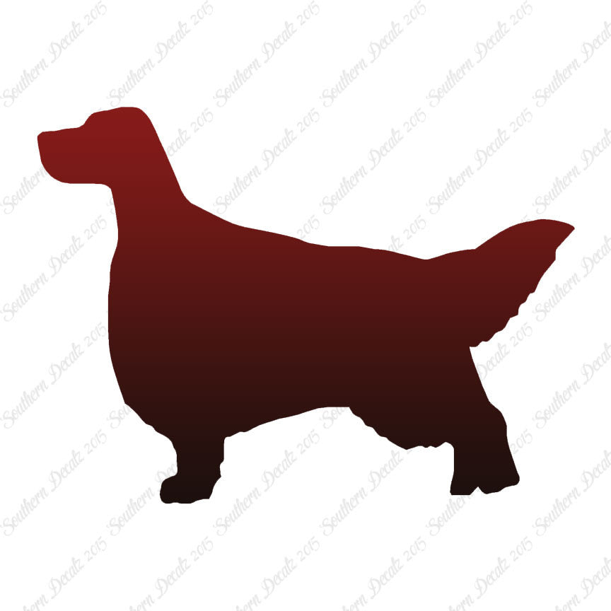 English Setter Dog Breed