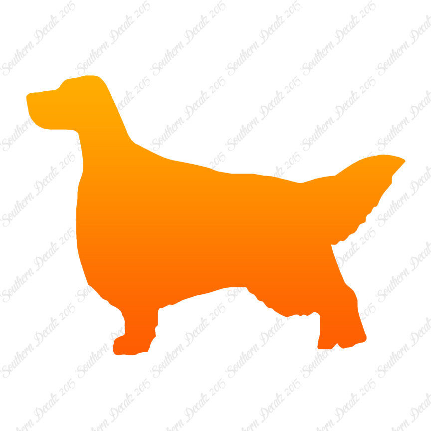 English Setter Dog Breed