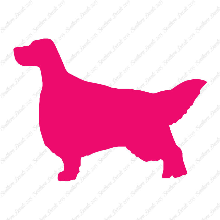 English Setter Dog Breed