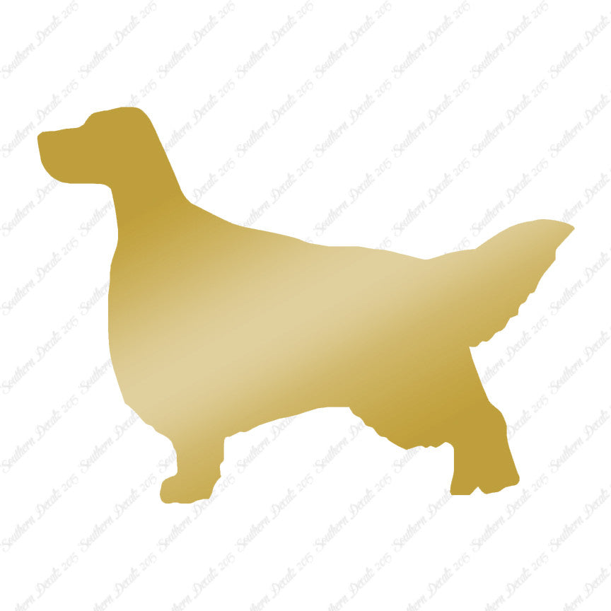 English Setter Dog Breed