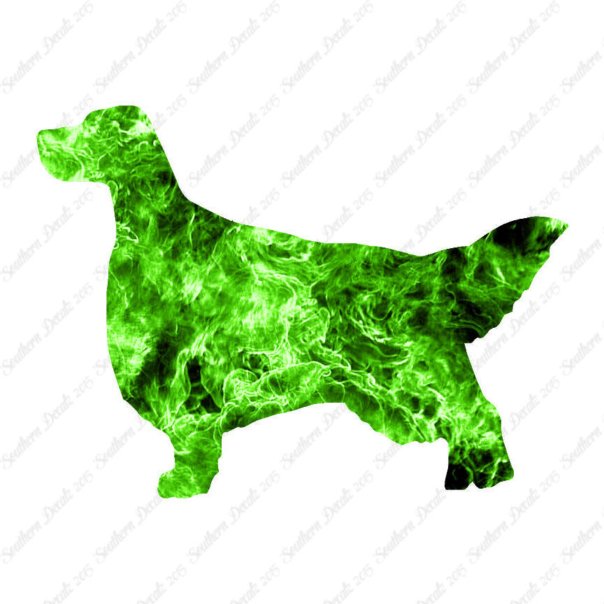 English Setter Dog Breed