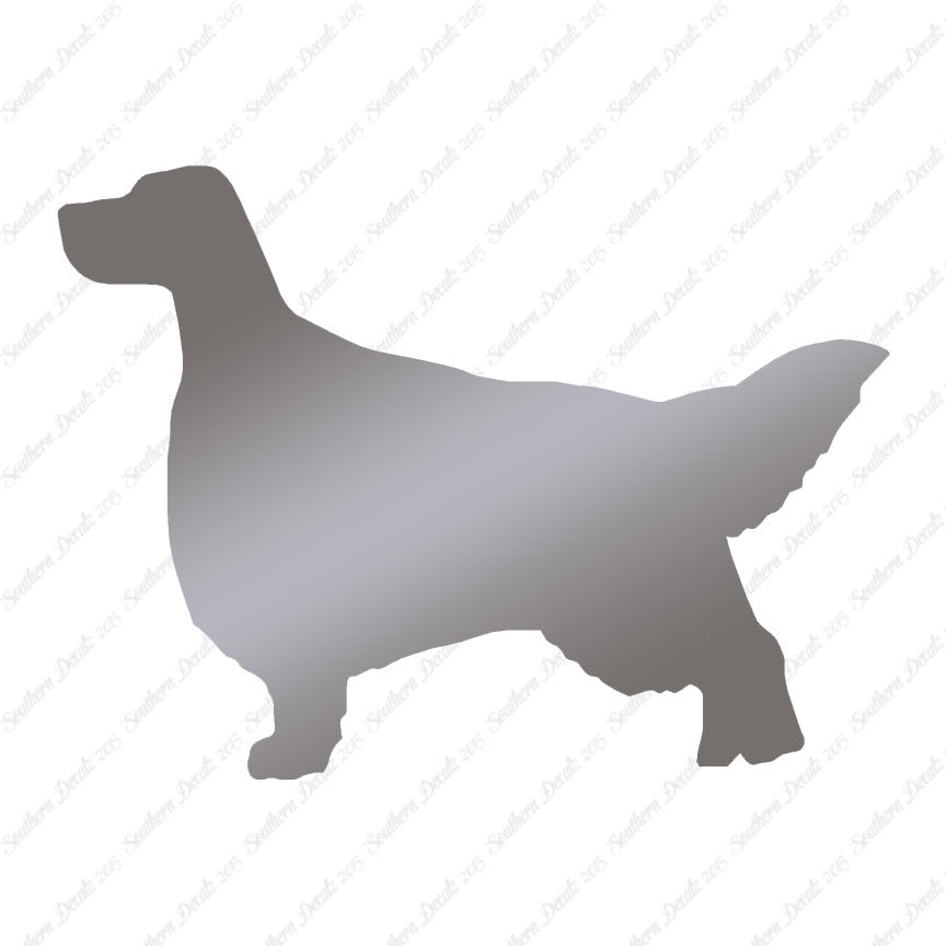 English Setter Dog Breed