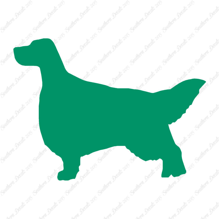 English Setter Dog Breed