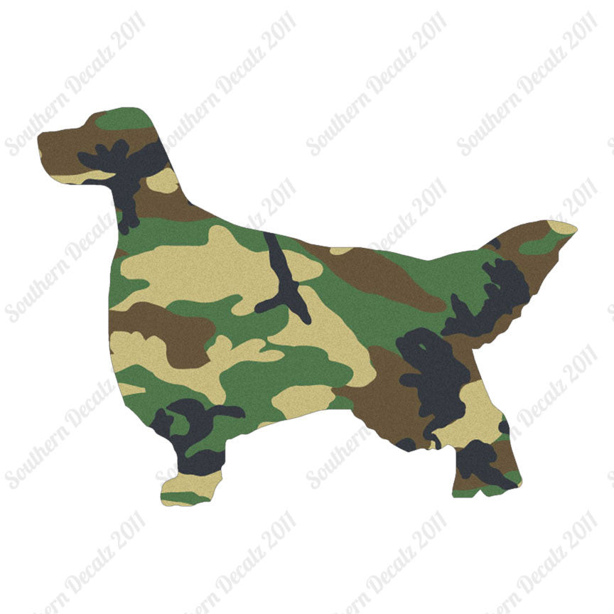 English Setter Dog Breed