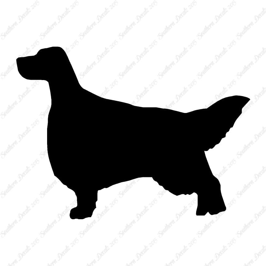English Setter Dog Breed