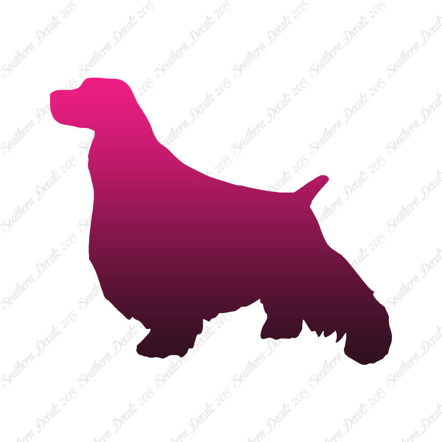 English Springer Spaniel Dog Breed