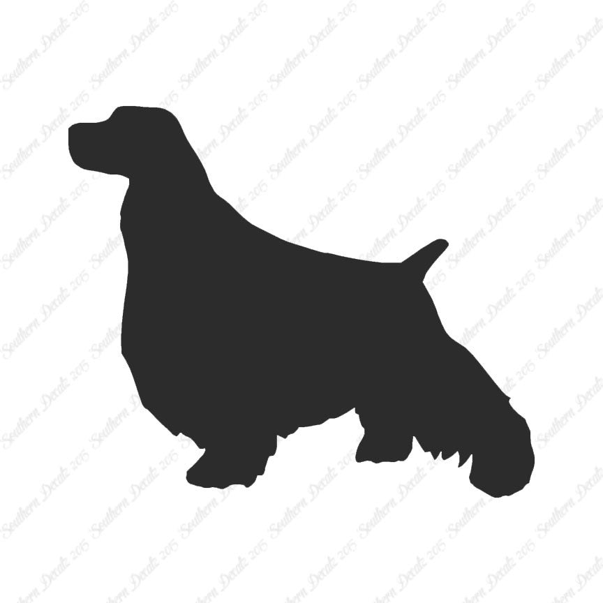 English Springer Spaniel Dog Breed
