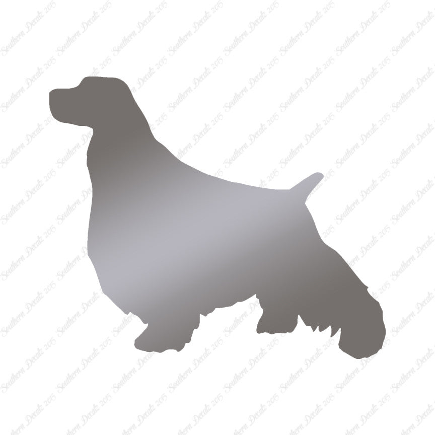 English Springer Spaniel Dog Breed