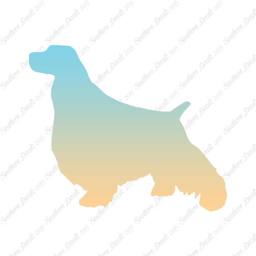English Springer Spaniel Dog Breed