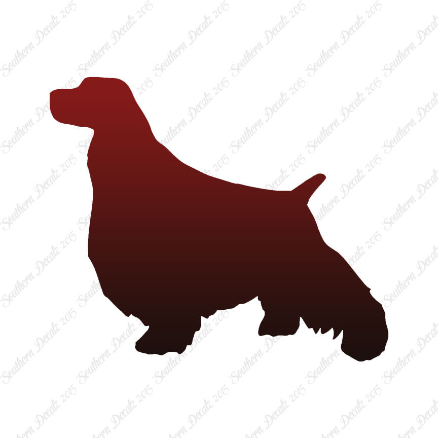 English Springer Spaniel Dog Breed