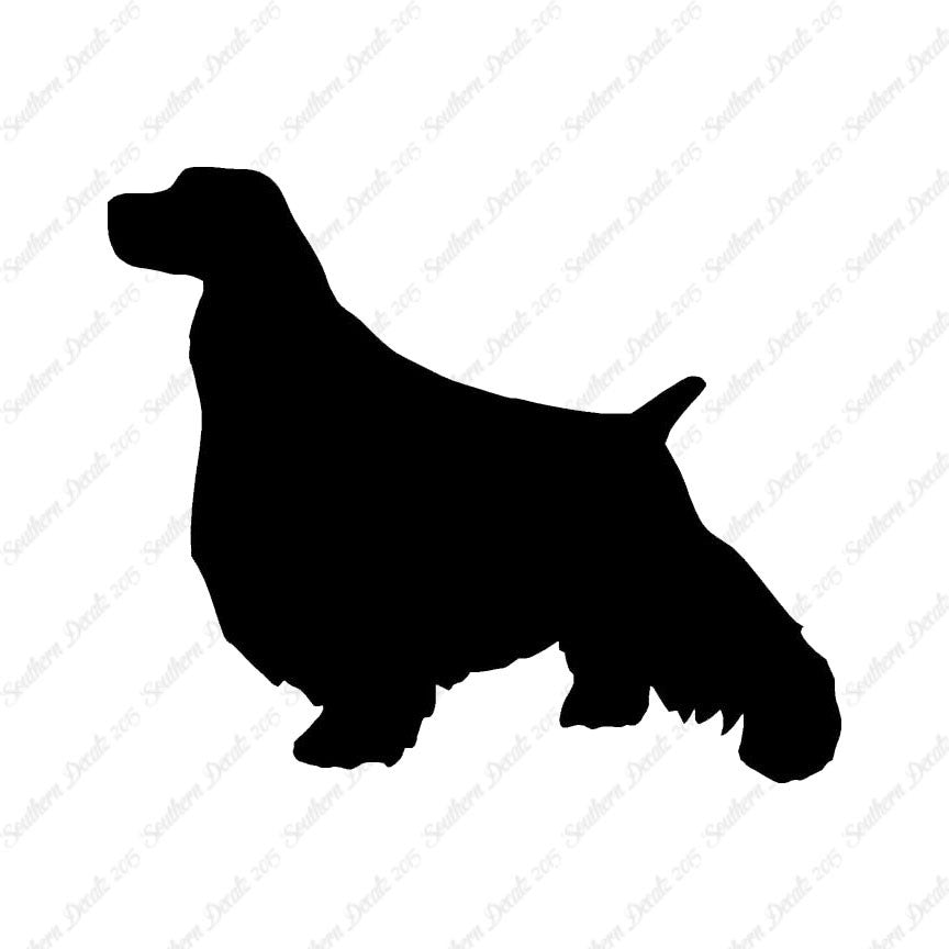 English Springer Spaniel Dog Breed