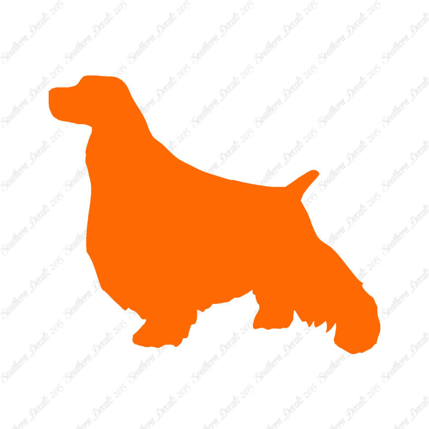 English Springer Spaniel Dog Breed