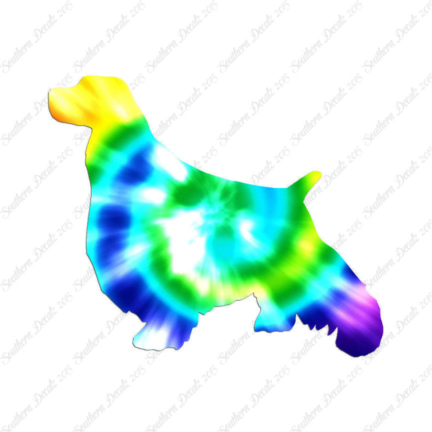 English Springer Spaniel Dog Breed