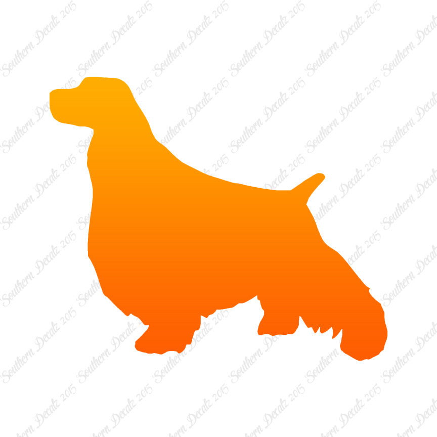 English Springer Spaniel Dog Breed