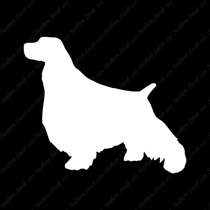 English Springer Spaniel Dog Breed