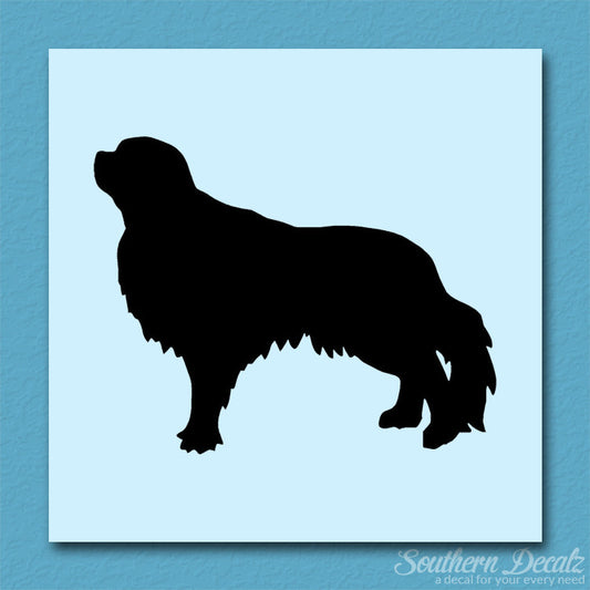 English Toy Spaniel Dog Breed