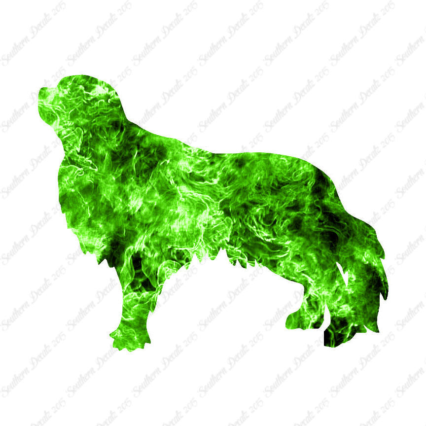 English Toy Spaniel Dog Breed