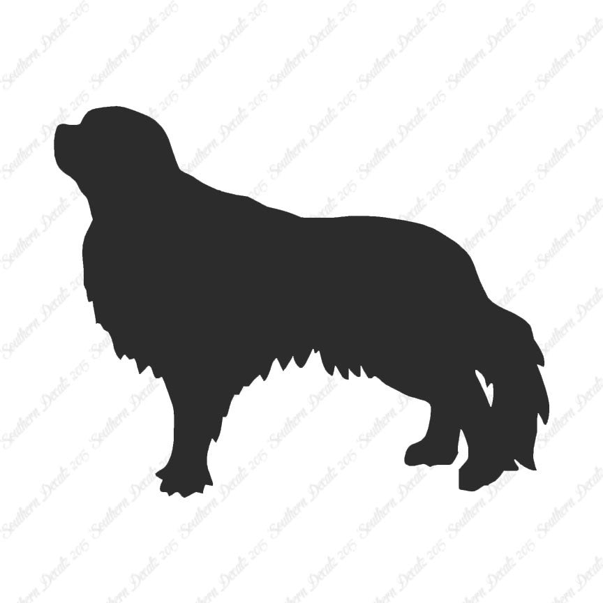 English Toy Spaniel Dog Breed