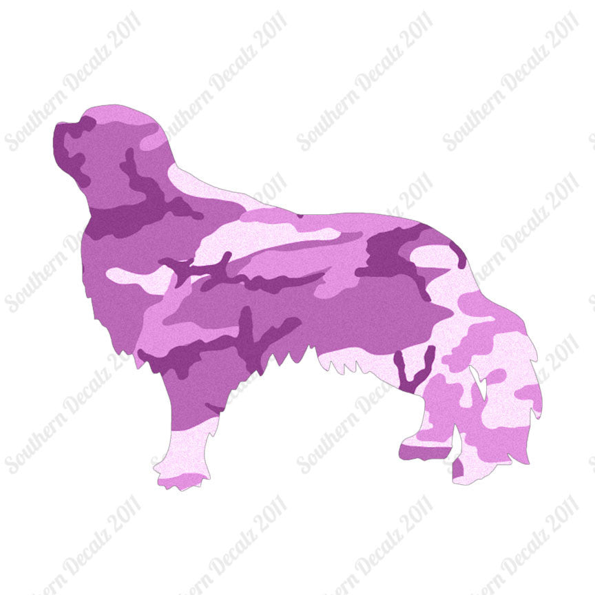 English Toy Spaniel Dog Breed