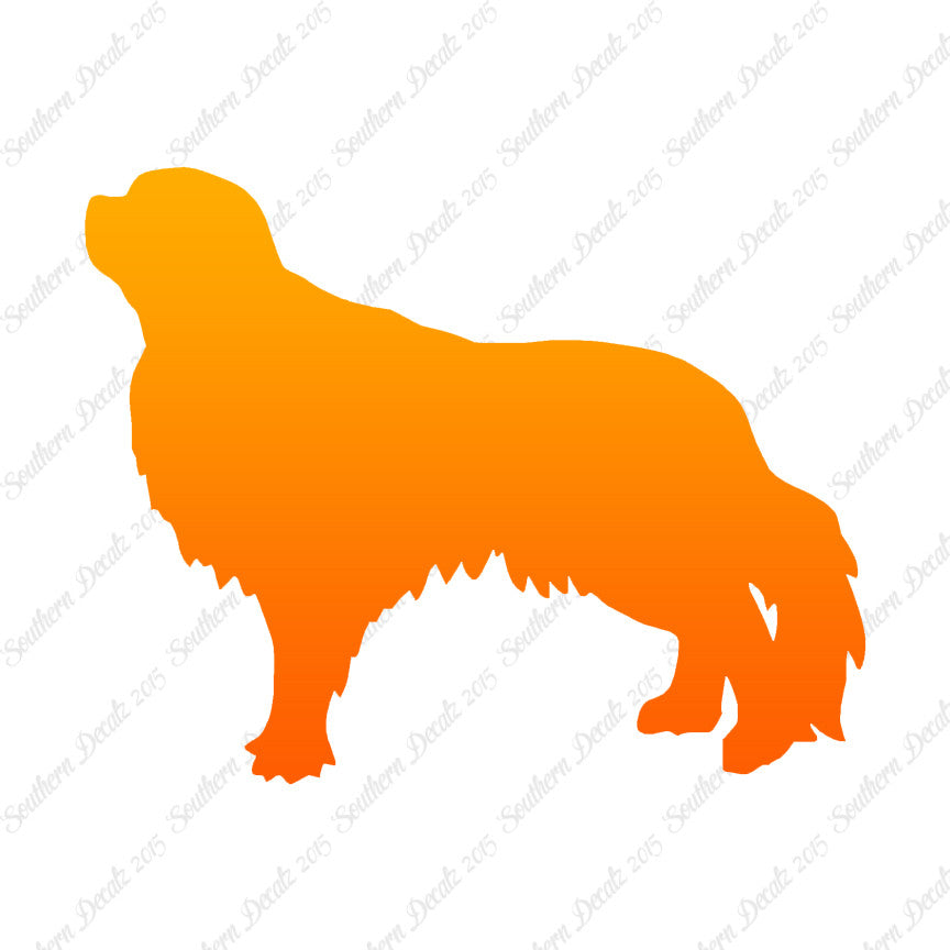 English Toy Spaniel Dog Breed