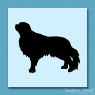 English Toy Spaniel Dog Breed