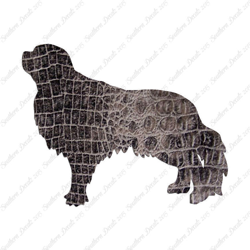 English Toy Spaniel Dog Breed
