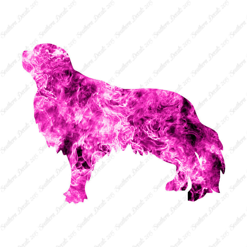 English Toy Spaniel Dog Breed