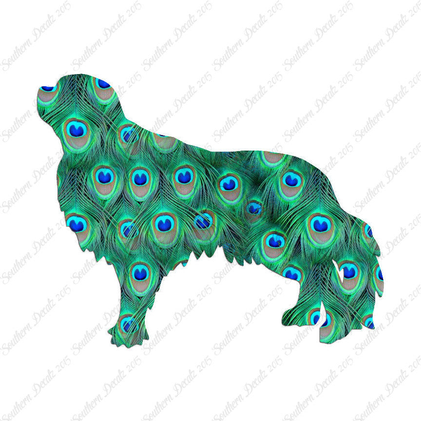 English Toy Spaniel Dog Breed