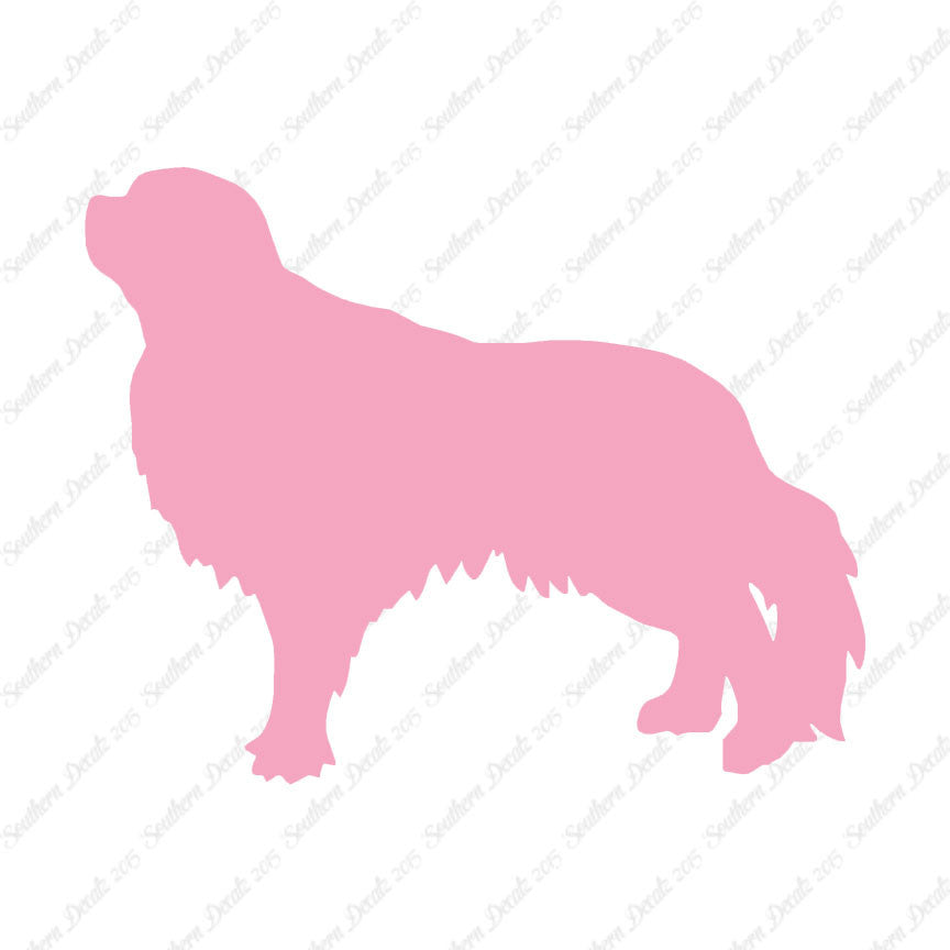 English Toy Spaniel Dog Breed