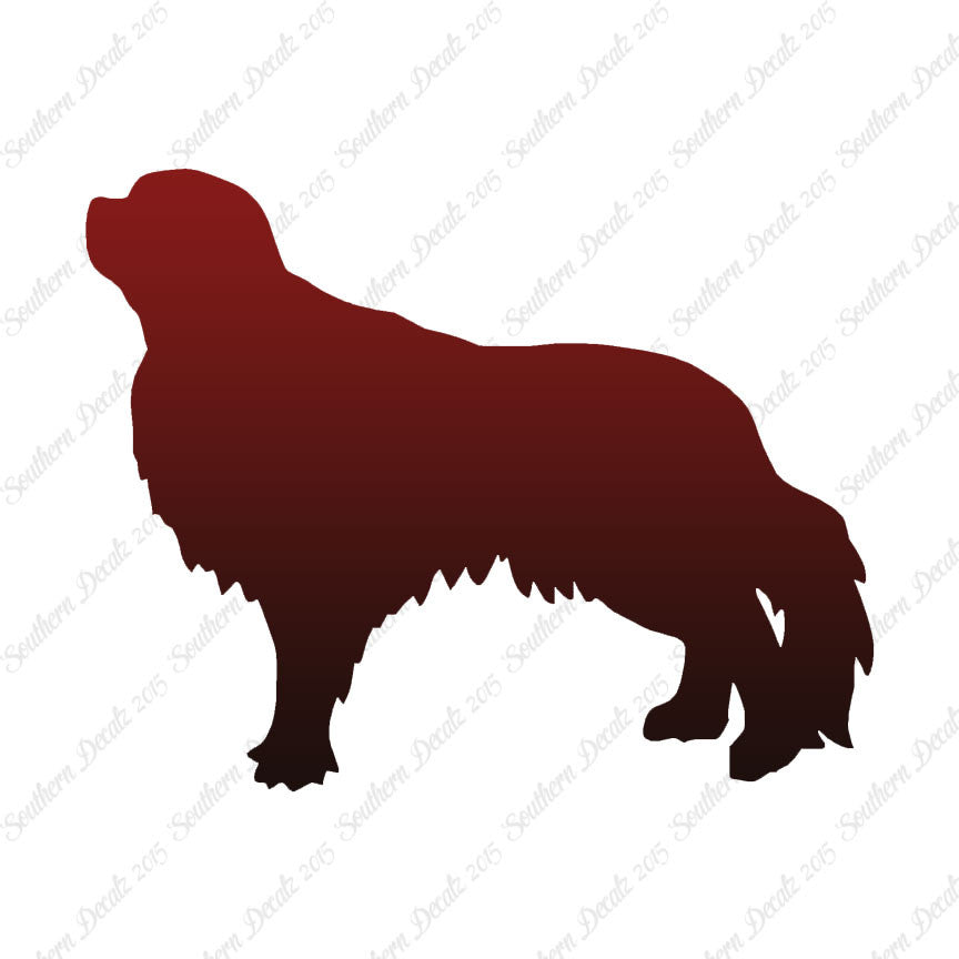 English Toy Spaniel Dog Breed