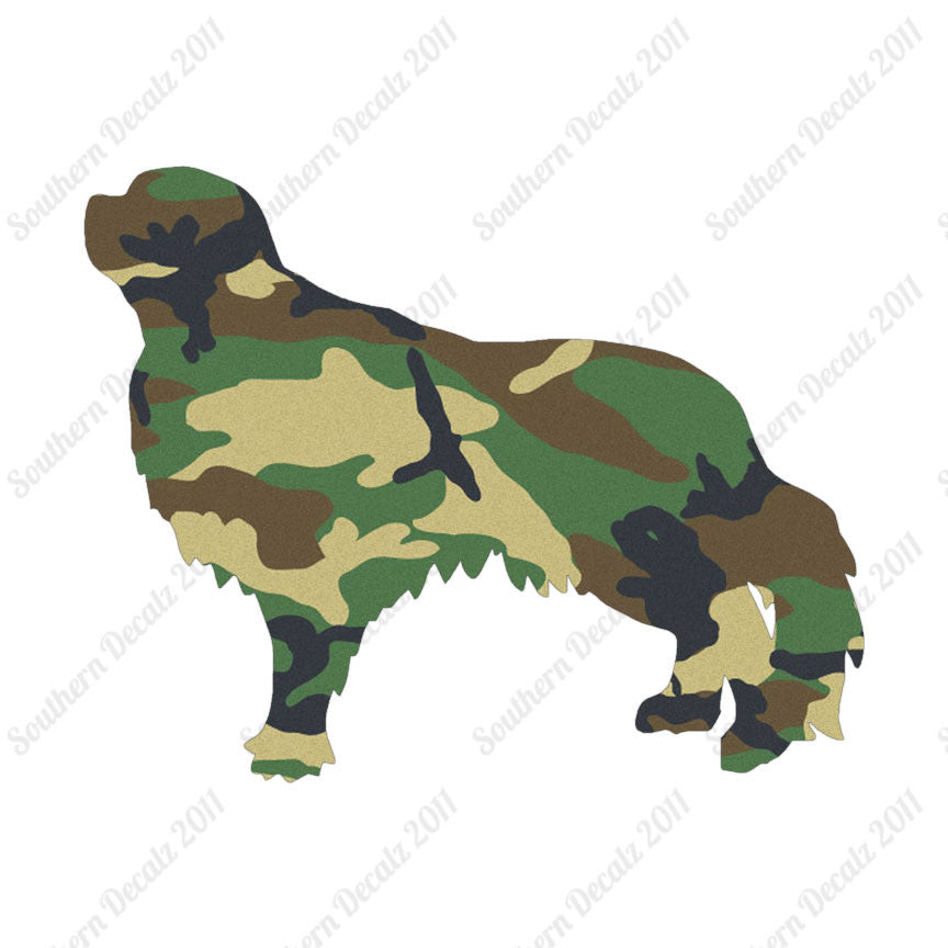 English Toy Spaniel Dog Breed