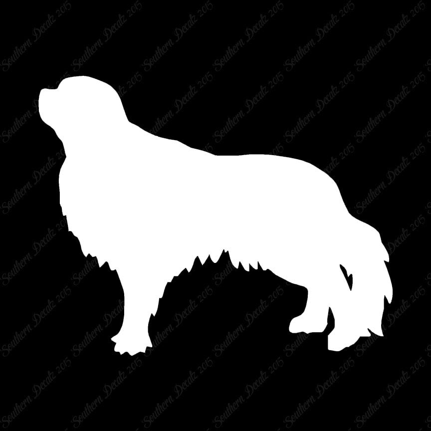 English Toy Spaniel Dog Breed