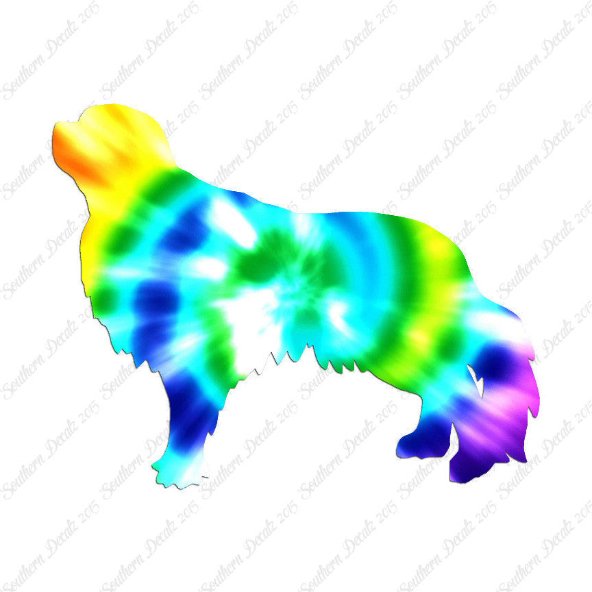 English Toy Spaniel Dog Breed