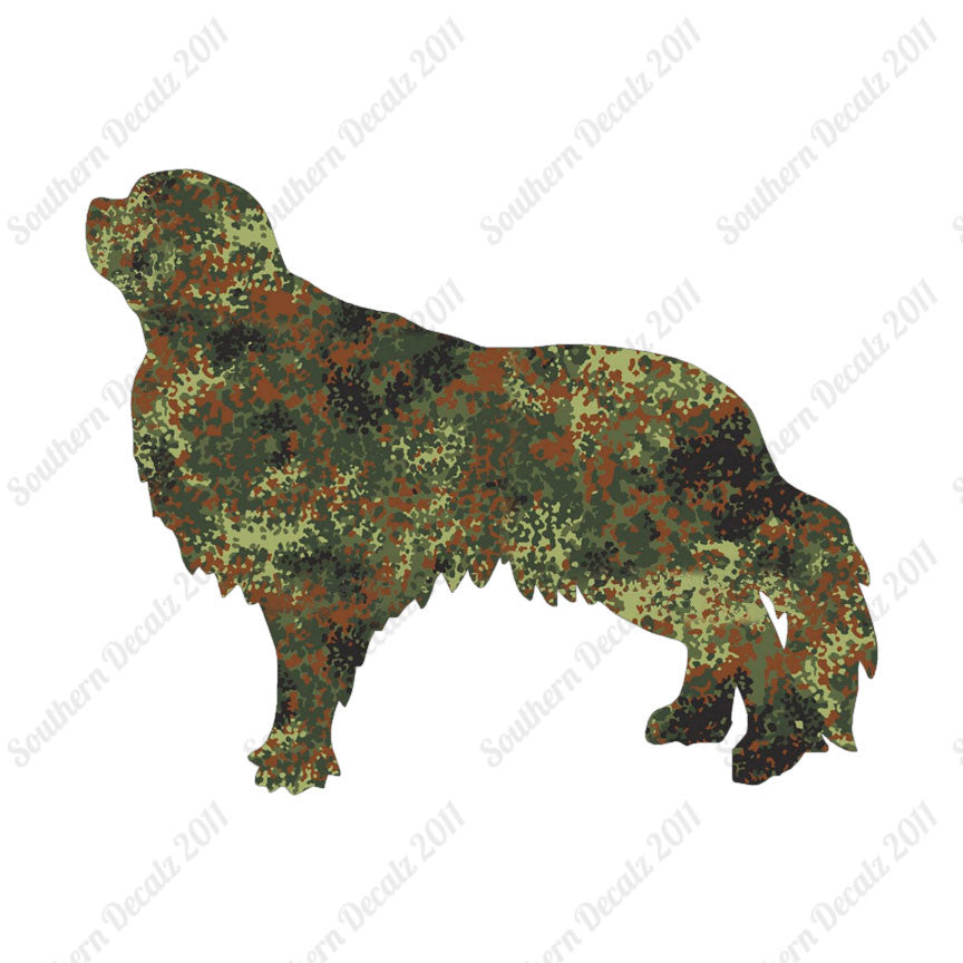 English Toy Spaniel Dog Breed