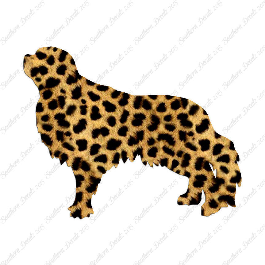 English Toy Spaniel Dog Breed