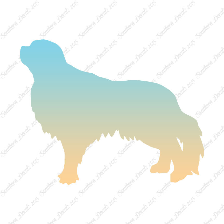 English Toy Spaniel Dog Breed