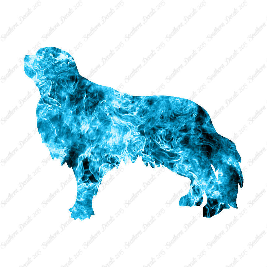 English Toy Spaniel Dog Breed