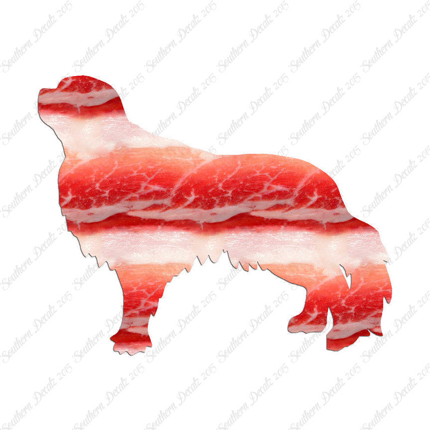 English Toy Spaniel Dog Breed