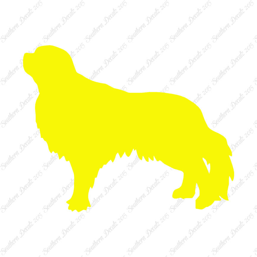 English Toy Spaniel Dog Breed