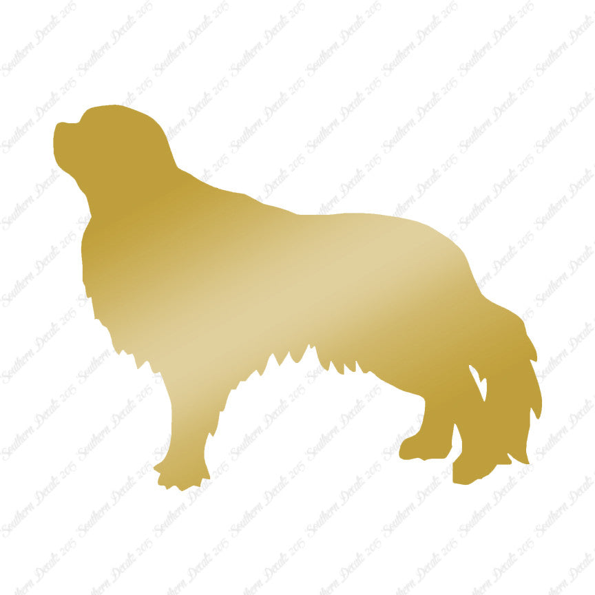 English Toy Spaniel Dog Breed